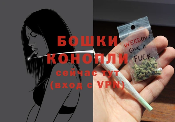 твердый Горнозаводск