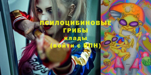 твердый Горнозаводск