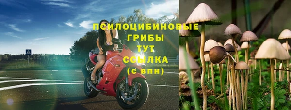 соль курить ск Горняк