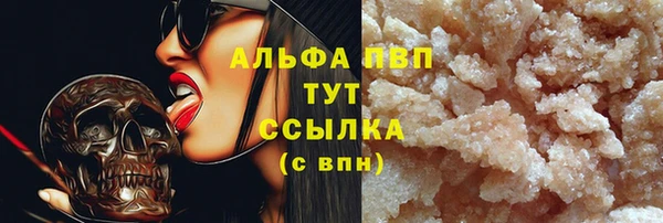 PSILOCYBIN Горно-Алтайск