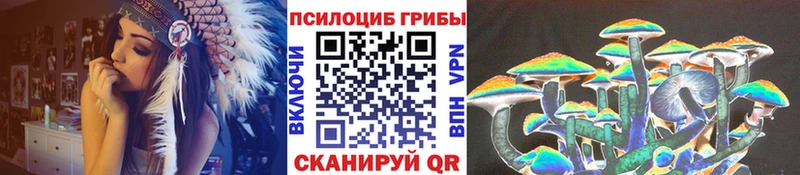 omg ONION  Дятьково  Галлюциногенные грибы прущие грибы 